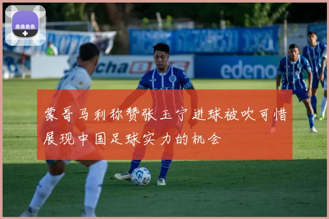 蒙哥马利称赞张玉宁进球被吹可惜展现中国足球实力的机会