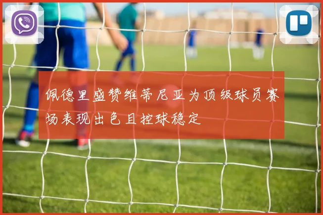 佩德里盛赞维蒂尼亚为顶级球员赛场表现出色且控球稳定